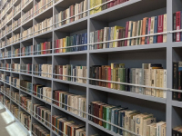 PISANE PA OTPISANE: Ukrajina iz biblioteka povukla 19 miliona knjiga na ruskom jeziku