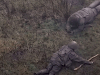 PROCURIO ZASTRAŠUJUĆI VIDEO IZ UKRAJINE: 'Pogledajte s kakvim 'oružjem' ih šalju da ginu...'