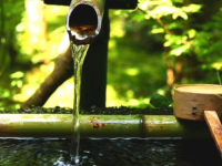 SAVJETI STRUČNJAKA: Ove jutarnje navike poboljšat će vaše zdravlje i pomoći vam kod mršanja