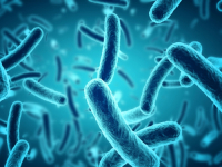 ZNANSTVENICI DOŠLI DO VELIKOG OTKRIĆA: Za opasnu bolest kriva je bakterija u našim crijevima…