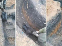 ZANIMLJIVI SNIMCI SA UKRAJINSKOG RATIŠTA: Pogledajte kakve 'nevolje' branitelji imaju sa dabrovima (VIDEO)