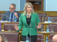 STALNA META BRUTALNIH, SEKSISTIČKIH I MIZOGINIH PORUKA: Ponovo upućene prijetnje smrću Draginji Vuksanović Stanković