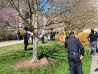 STRAVA U AMERICI: Upao u osnovnu školu i ubio troje djece, napadač ubijen