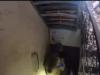 NEVJEROVATNA SITUACIJA U UKRAJINI: Došao u rat s Novog Zelanda, upao u ruski bunker pa se potpuno iznenadio...