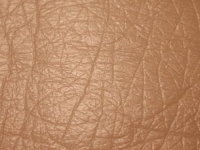 VELIKO OTKRIĆE: Ovi fragmenti proteina odgovorni su za sprečavanje starenja kože…