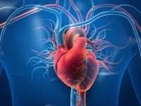 STRUČNJACI SAVJETUJU: Ukoliko patite od srčanih bolesti i imate visok krvni tlak ovo trebate znati…