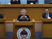 URNEBES ZA SKUPŠTINSKOM GOVORNICOM: Zna li iko o čemu je danas govorila Obrenka Slijepčević u Narodnoj Skupštini RS (VIDEO)