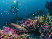 POSTIGNUT HISTORIJSKI DOGOVOR: Skoro trećina svjetskih mora dobija zaštićen status