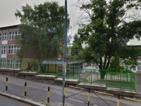 GROZNE SCENE U REGIJI: Pas ušao u osnovnu školu i ujeo troje djece