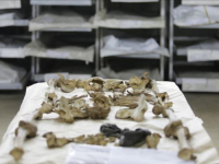 INSTITUT ZA NESTALE OSOBE BiH: Identifikovani posmrtni ostaci majke i njene sedmogodišnje kćerke koje su ubijene 1992. kod Bratunca