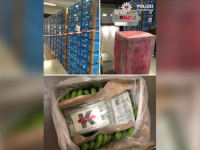 KAKAV ULOV: Njemačka policija zaplijenila 1,2 tone kokaina, evo gdje je droga bila skrivena...