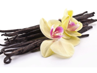 MIRISNE NOTE, EMOCIJE I STALNI OPTIMIZAM: Pet mirisa koji pozitivno utječu na raspoloženje