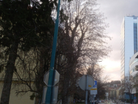 VANREDNA TELEFONSKA SJEDNICA: Vijeće ministara usvojilo Program ekonomskih reformi BiH izrađen prema smjernicama...