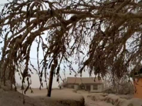 NESTVARNI SNIMCI IZ RUSIJE: Ovako je jutros izgledalo pod Šivelučom nakon erupcije i miješanja snijega i pepela (FOTO, VIDEO)