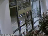 OBJAVLJEN NOVI SNIMAK UBISTVA MILIJARDERA: Padao i puzao po pločniku, molio za pomoć ali niko nije prišao (UZNEMIRUJUĆI VIDEO) 