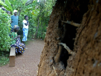 HOROR NA ISTOKU KENIJE: Otkriveno 21 tijelo sekte koja se izgladnjivala da susretne Isusa?