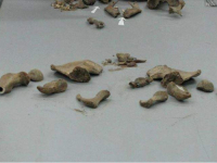 NESTALE NA PODRUČJU BRATUNCA 1992. GODINE: U Komemorativnom centru u Tuzli identifikovani posmrtni ostaci dvije žrtve