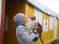 ZASLUŽILA JE: Mačka pronađena 36 dana nakon zemljotresa postala maskota kontejnerskog naselja