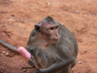 EKSTREMNE VRUĆINE: Vlasti izdale upozorenje, na Tajlandu temperatura od 54 stepena