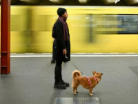 PRITISAK NA POSLODAVCE: Sprema se još jedan masovni štrajk širom Njemačke