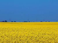 DOGOVOR U BRISELU: Mađarska će nastaviti dopuštati 'ulazak' ukrajinskog žita samo ako je namijenjeno za...