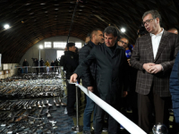I VUČIĆ SE IZNENADIO: Građani Srbije predali ogromnu količinu oružja (FOTO, VIDEO)