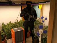 DETALJI HAPŠENJA U BOSANSKOJ GRADIŠCI: Pronađeno 62 kg droge, krali struju za laboratoriju (VIDEO)