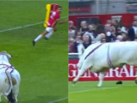 SPAŠAVAJ SE KO MOŽE: Bik napravio haos prije utakmice (VIDEO)