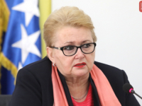 BISERA TURKOVIĆ O PROBLEMIMA U PROŠLOM MANDATU: 'Zakon o vanjskim poslovima je bio uslovljen gasnim interkonekcijama. Mi na to nismo pristali!'