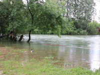 INFO IZ HERCEGOVINE: Buna se blago izlila na cestu, poplavljeno Trebižatsko polje, upozorenja da...