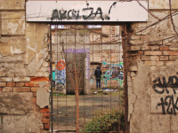 SISTEM U SRBIJI KOJI OPSTAJE KAO NELOGIČNA TVOREVINA: 'Ima vijesti da je masovni ubica iz Mladenovca sebe davno prozvao 'Malim Kristijanom''.