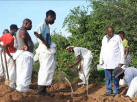 HOROR NA ISTOKU AFRIKE: Pronađeno 150 tijela sljedbenika kulta izgladnjivanja...