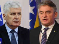 ČOVIĆEV PORTAL LIKUJE: 'Komšić ne može dobiti bitku za plin!'