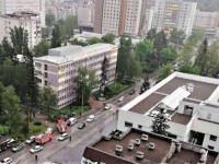 HOROR U TUZLI: U blizini Gradske uprave na ženu palo drvo, u teškom je stanju...