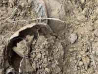 INSTITUT ZA NESTALE OSOBE BIH: Identifikovana još jedna žrtva bošnjačke nacionalnosti ubijena 1992. u Višegradu