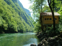 ČUDO U VRBASU: Dvije biologinje iz Banje Luke u rijeci otkrile biljke iz ledenog doba; Skoro godinu dana...