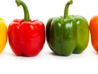 CRVENE, ZELENE, ŽUTE, NARANDŽASTE: Zbog čega je paprika zdrava? Prednost ovog povrća je upravo u tome što ga...