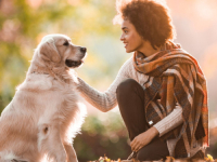 ČESTO SE DOGAĐA U POSLJEDNJE VRIJEME: Tužio bivšu djevojku jer je nakon prekida veze zadržala psa