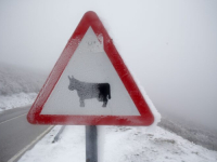 NAKON VIŠEMJESEČNE SUŠE I VISOKIH TEMPERATURA: U Španiji pao snijeg (VIDEO)