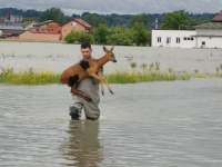 PLEMENITOST U SUSJEDSTVU: Pogledajte kako je mladi vatrogasac iz vode izvukao srnu (FOTO)