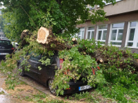 SNAŽNO NEVRIJEME U TUZLI: Kod Rudarskog fakulteta stablo palo na automobil (FOTO)