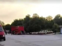 'ČOBANE, VRATI SE, OVCE TVOJE NE MOGU BEZ TEBE': Neko je dovezao stado i ostavio u krugu firme 'Zrak' u Sarajevu (VIDEO)