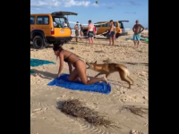 PANIKA NA PLAŽI: Pas nezainteresirano prolazio između kupača, a onda je u sekundi nasrnuo na ženu (VIDEO)