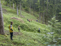 ŠESTI DAN POTRAGE ZA MUŠKARCEM IZ OLOVA: Blizu 200 spasilaca Gorskih službi spašavanja Zavidovići i Sarajevo te pripadnici...