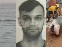 ŠOKANTNI SNIMCI IZ EGIPTA: Ovo je morski pas koji je ubio mladog Vladimira... (VIDEO)