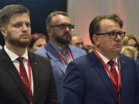KUHA U SDP-u: Zašto na stranački kongres nije došao Denis Bećirović, šta će biti s Irfanom Čengićem…