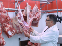 U JABLANICI IZNOSI 50 KM, ALI NEGDJE JE I TO MALO: Da li je kilogram janjetine ikada bio ovako skup?