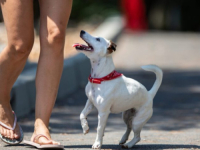 ZDRAVLJE I(LI) ESTETIKA: Ovo je obuća koju ne biste trebali nositi; Na prvom mjestu su, pomalo neočekivano...