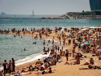 MIRNO JUTRO NA PLAŽI PREKINUO ZVUK ZVIŽDALJKI: 'Svi van iz mora, iza vas je ogroman morski pas!'