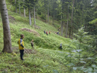 OD 30. MAJA GUBI MU SE SVAKI TRAG: Građani i porodica nezadovoljni istragom o nestanku F.H. iz Olova